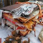 Junk Journal Herbst