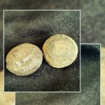 Lebende Steine